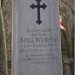 mini-IMG_3192