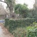 mini-IMG_3202