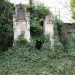 mini-IMG_3203