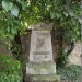 mini-IMG_3204