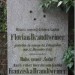 mini-IMG_3210