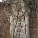 mini-IMG_3226