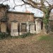 mini-IMG_3229