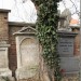 mini-IMG_3230