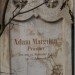 mini-IMG_3237