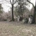 mini-IMG_3239