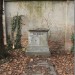 mini-IMG_3240