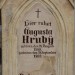 mini-IMG_3264