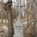 mini-IMG_3271
