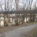 mini-IMG_3273