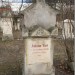 mini-IMG_3276