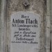 mini-IMG_3298