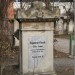 mini-IMG_3311