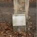 mini-IMG_3312