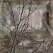 mini-IMG_3323
