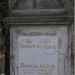 mini-IMG_3346