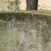 mini-IMG_3348