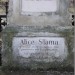 mini-IMG_3368