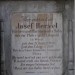 mini-IMG_3369