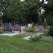 zentral_075