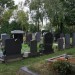 zentral_077