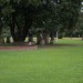 zentral_083