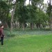 zentral_098