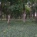 zentral_101