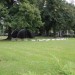 zentral_173
