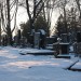 mini-IMG_1742