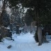 mini-IMG_1743