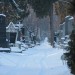 mini-IMG_1744