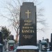 mini-IMG_1747