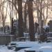 mini-IMG_1751