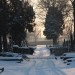 mini-IMG_1752