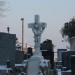 mini-IMG_1755