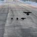 mini-IMG_1774