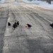 mini-IMG_1783