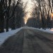 mini-IMG_1792