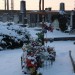 mini-IMG_1798