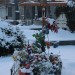 mini-IMG_1799