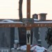 mini-IMG_1800