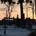 mini-IMG_1803
