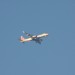 mini-IMG_1805