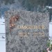 mini-IMG_1812
