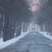 mini-IMG_1828