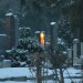 mini-IMG_1837