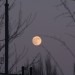 mini-IMG_1839