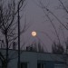 mini-IMG_1841