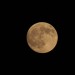 mini-IMG_1853